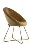 DINING CHAIR CARAMEL VELVET GOLD LEG - CHAIRS, STOOLS